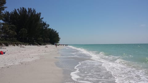 Our beautiful beach! We have beach chairs, beach umbrellas and beach towels too!