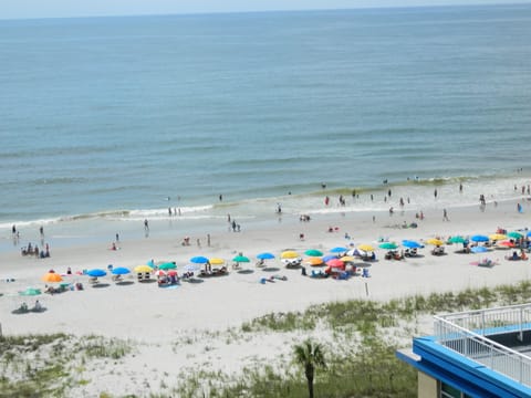 View from Balcony