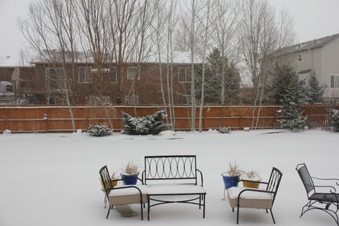 Backyard in Winter