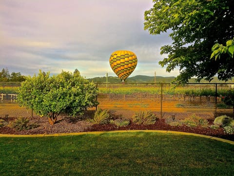 Hot Air Balloons are a common from the house