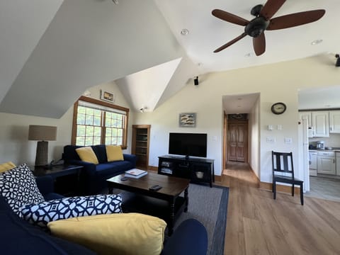 Living Area with pullout sleeper Sofa