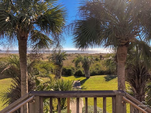 View from back deck.