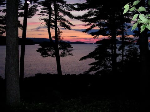 View out the living room window at dusk