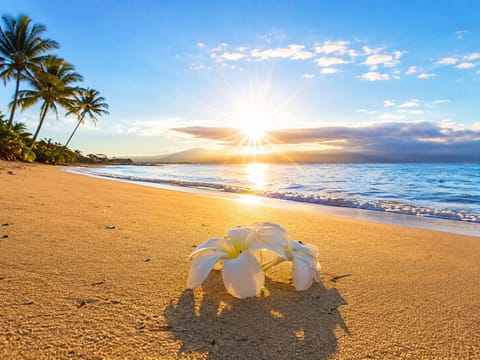 Sugar beach runs 3 + miles to the beginning of Kihei