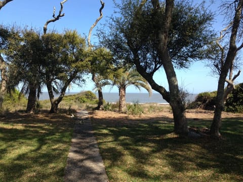 Front yard.