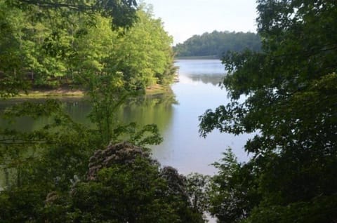 View from screened-in back deck