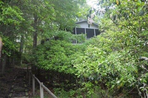 Back of house (screened-in deck)