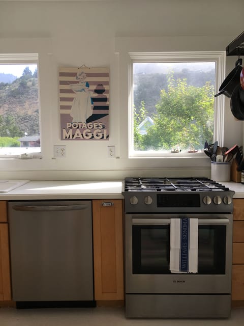 Spice cabinet, Bosch 5 burner gas stove, new dishwasher; condiments in fridge 