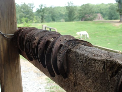 Get back to a simpler state of mind at our ranch.