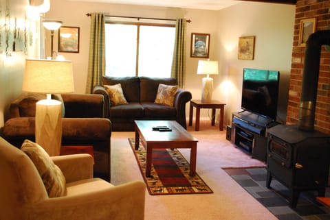 Cozy living room 