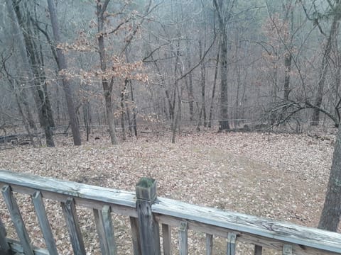 Private, large, fenced back yard.  Bring your fur babies 