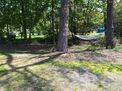 Hammock for relaxation in the backyard!!