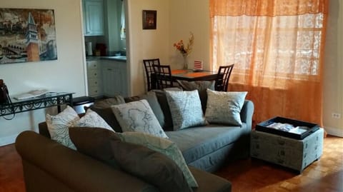 Comfortable Couch, easily turns into Comfortable Sleeper (IKEA)