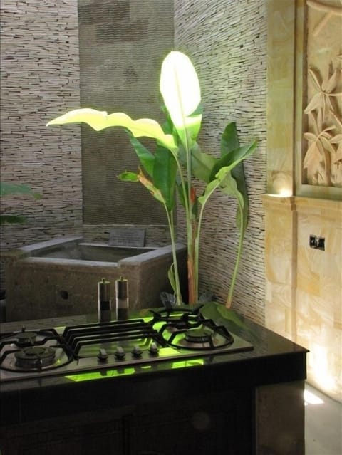 Kitchen stove with waterfall in the background and carved back wall to the right