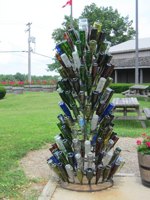 Wine bottle tree at Glenora Winery