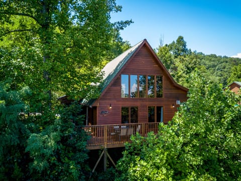 Pigeon Forge Cabin - "Black Bear Lodge"