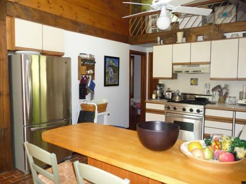 Ceiling fans, stainless appliances