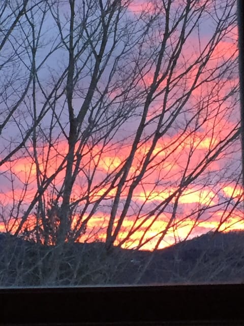 Morning View With Your Coffee