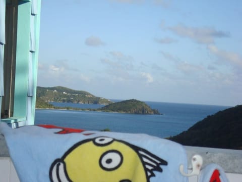 Cottage shower, with a view!