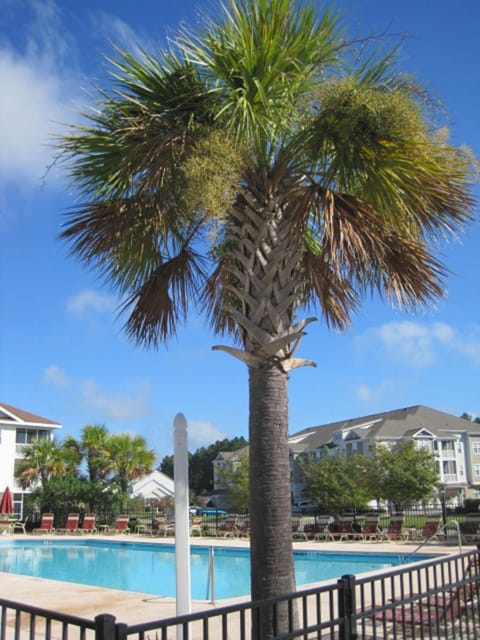Beautiful blue skies at the pool!  Ready for some fun and sun?

