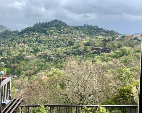 View from living area.
