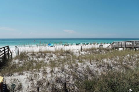 Your backyard. The stunning Emerald Coast.
