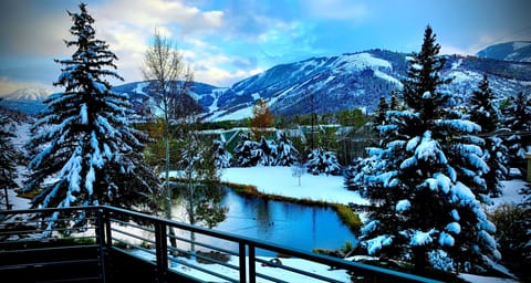 Winter view from the top deck