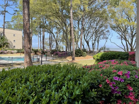 View of the sound and beach from the back porch.