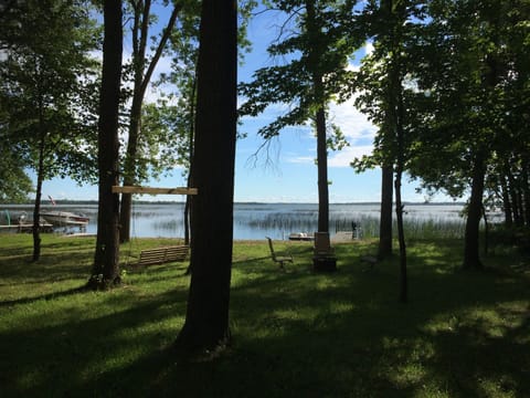 Wooded yard facing the lake