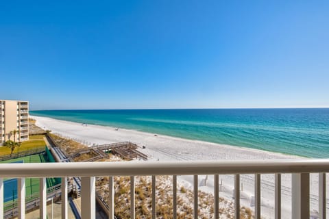 Incredible views of the Gulf and marine life (Dolphins, schools of fish, birds)