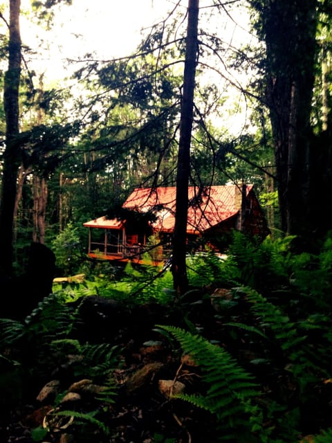 A view from Auskerada Trail.  Late Summer