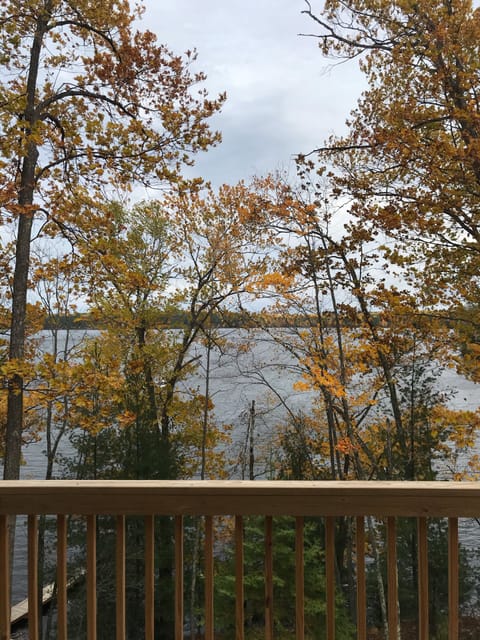 Lave view from the deck