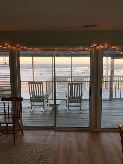 Dolphin Watch with Holiday lights