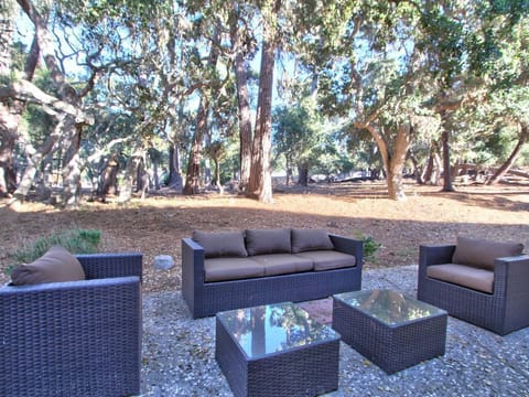 Surrounded by forest and a family of deer