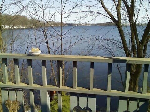 View of Lower Elk from Deck.