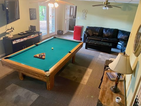 Basement Living Room