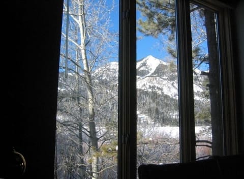 View from dining table