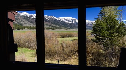 View from reading nook/ bay window bed. You never want to leave...