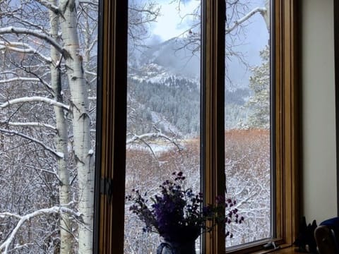 View from dining room table