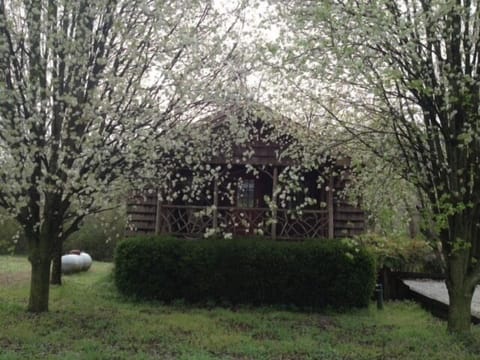 Springtime's rainy day