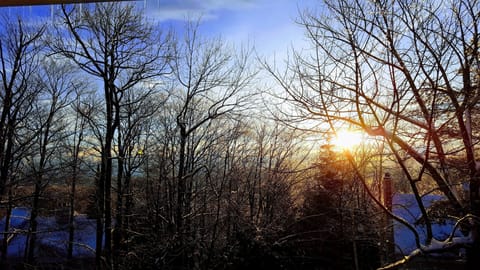 Morning view from the living room