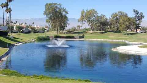 View with fountain on 