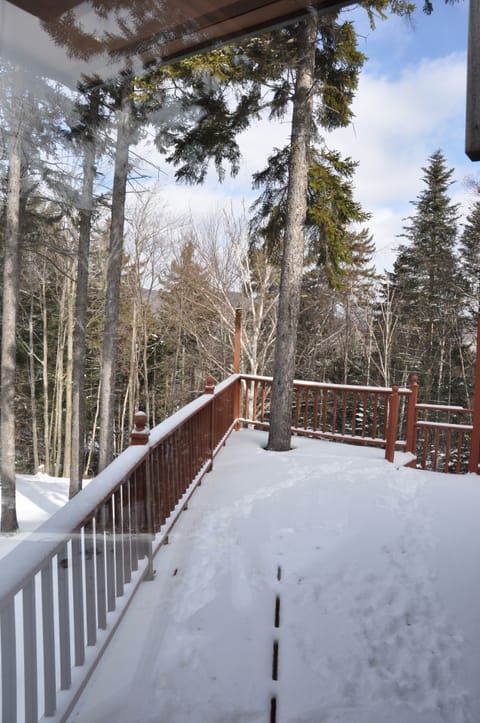 Deck View thru Dinning Window