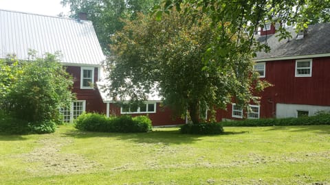 Huge  backyard to play in, go right out the french  doors to enjoy.
