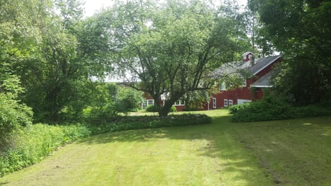 The upper section of the backyard.  A large flat area rises to a small frog pond
