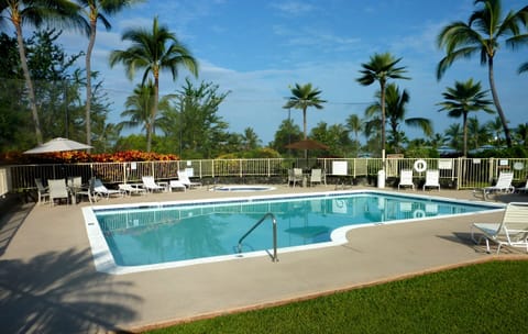Swimming Pool and Jetted Hot Tub