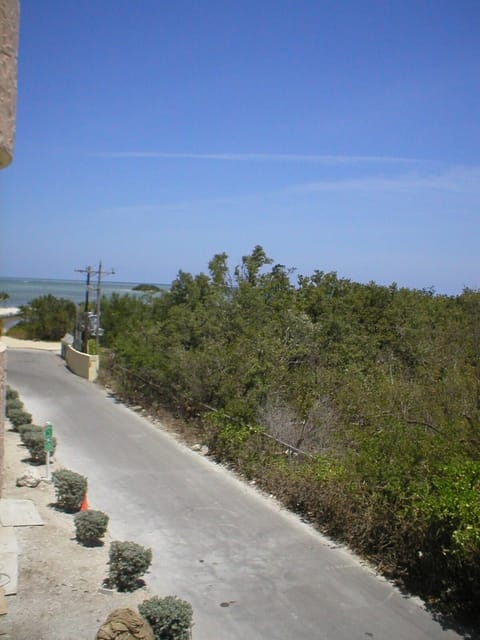 View from your Balcony