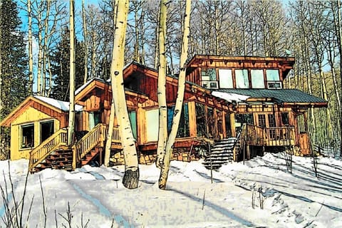 Welcome to our Telluride home! Elevation 10,000.