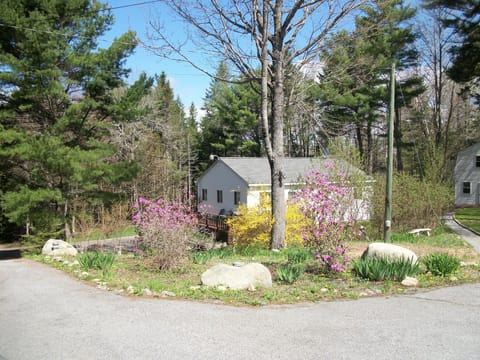 outside - spring is here!