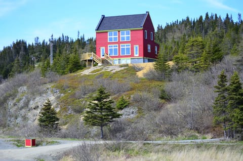 Tuckamore